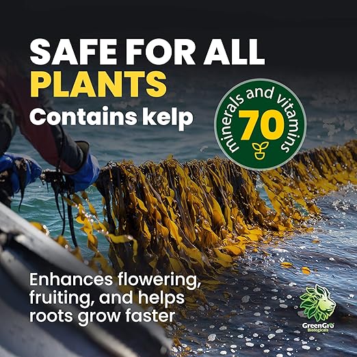 GreenGro Granular Plus Myco, All-in-One Fertilizer with Kelp and Humic Acid for Plants, Organic Root Stimulator Plant Food with Mycorrhizae for Indoor & Outdoor Gardens 50 lb