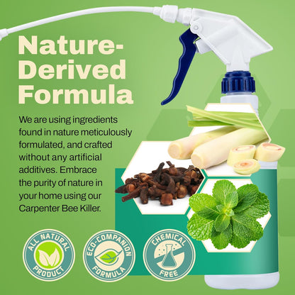 All-Natural Foaming Bee Spray Killer Outdoor - Carpenter Insect Bee Spray Killer - Reliable Defense for All Kinds of Insects, 16 oz