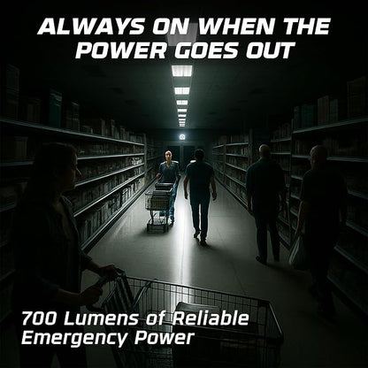 OHLECTRIC Emergency Ballast Replacement for PS600QD MVOLT - 700 Lumen Output - 90-Minute Backup for