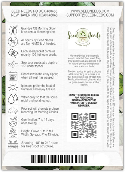 Seed Needs, Grandpa OTT Morning Glory Seeds - 100 Heirloom Seeds for Planting Ipomea purpurea - Annual Blue/Violet Blooms, Flowering Vine for a Natural Privacy Fence (1 Pack)