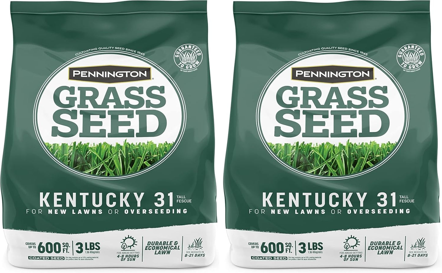 Pennington Kentucky 31 Tall Fescue Penkoted Grass Seed 3 lb, Green (Pack of 2)