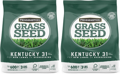 Pennington Kentucky 31 Tall Fescue Penkoted Grass Seed 3 lb, Green (Pack of 2)