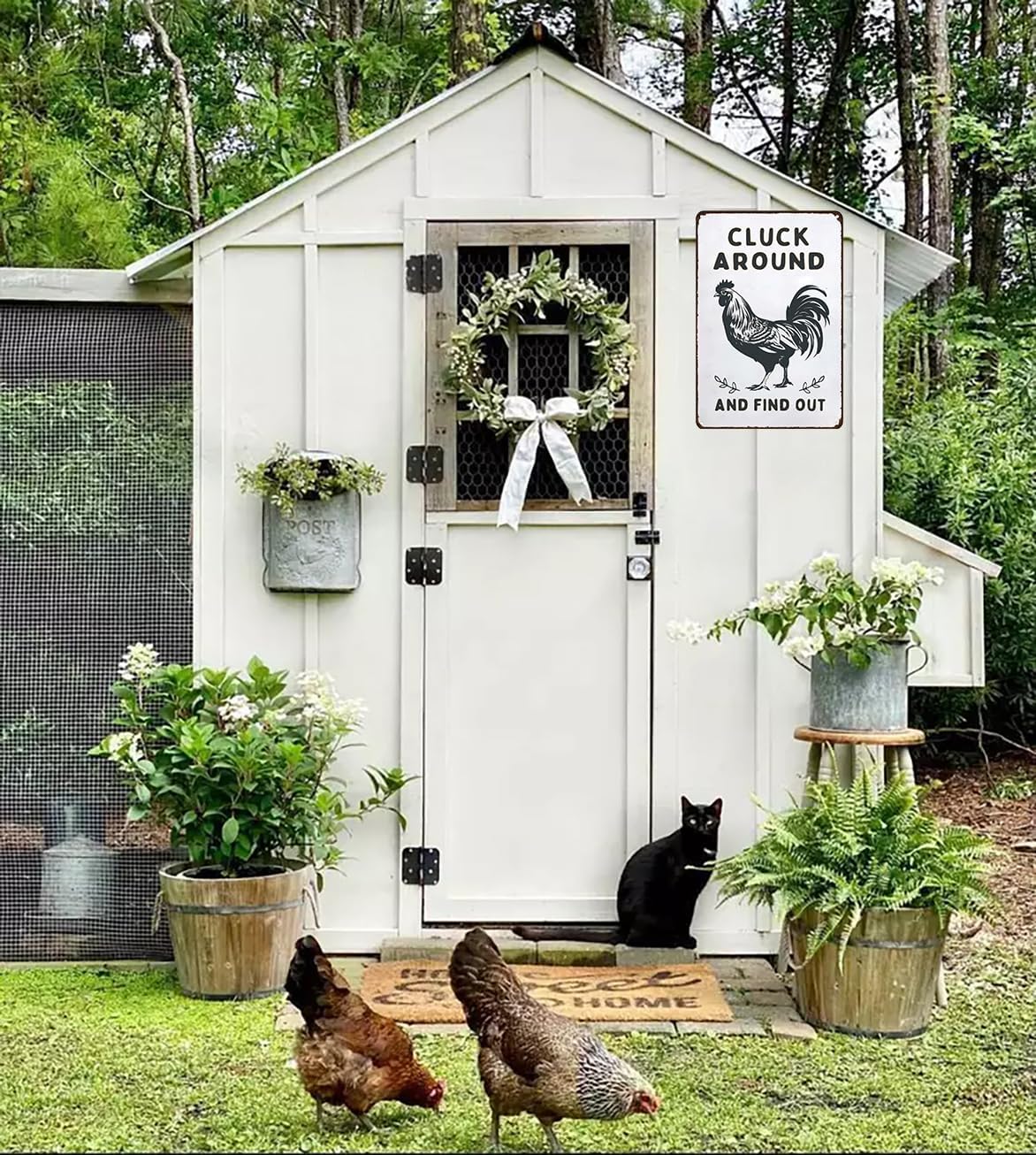 Funny Chicken Gifts Chicken Cluck Around and Find Out Tin Sign for Home Farm Chicken Coop Farmhouse Kitchen Garden Decor 8 X 12 Inch (3020)