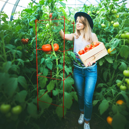 Tomato Cages 6 Packs 46 Inch (H) Plant Stand with 164 Feet Twist Ties, Heavy Duty Garden Plants Support for Tomatoes, Cucumber, and Other Climbing Plants (Red)