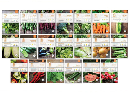 Bentley 20 Pack Garden Seeds for Planting - Non GMO Vegetable Variety Pack for Indoor and Outdoor Growing