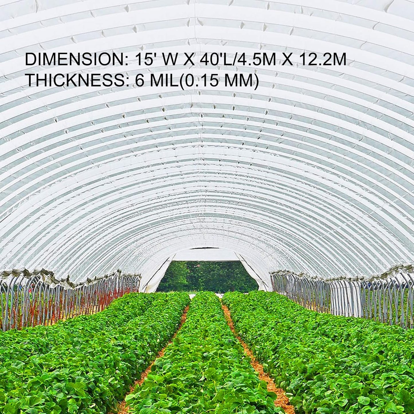 VEVOR Greenhouse Plastic Sheeting 15 x 40 ft, 6 Mil Thickness UV Resistant Clear Polyethylene Film, Hoop Green House Cover for Farms, Agriculture, Garden