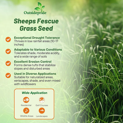 Outsidepride Sheeps Fine Fescue Grass Seed - 5 Lbs. Perennial Heat & Drought Tolerant Dense Green, Traffic-Resistant Turf for Shaded Environments w/OptiGrowth Coating for Seed Enhancement