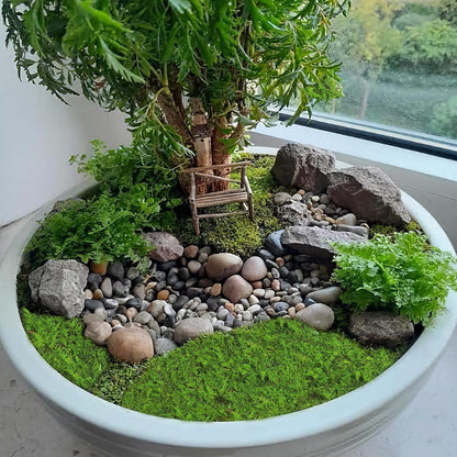 2 Pcs Preserved Sheet Moss for Potted Plants 2 sq.ft. Dried Natural Preserved Moss Mat Green Moss Sheets for Planters Crafts Woodland Decor Garden Party Decorations Wall Art DIY Project Green