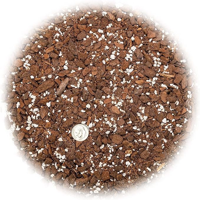 Shingle Plant Planting Mix - Promotes Steady Growth and Healthy Leaves - 10 Quart (2 Bags of 5 Quart)
