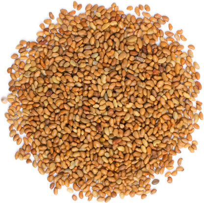 Food to Live - Organic Alfalfa Seeds for Sprouting, 8 Ounces Non-GMO, Edible Seeds, Pure, Vegan, Kosher, Bulk. Rich in Vitamin K, Vitamin C.