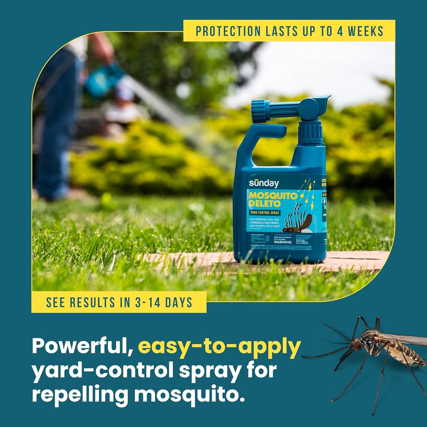 Sunday Mosquito Deleto - Mosquito Repellent & Bug Control Spray - Concentrated Lemongrass & Cedar Oils - for Mosquitoes, Fleas, & Ticks - Lasts up to 4 Weeks - Hose-On Sprayer, 32 Fl Oz