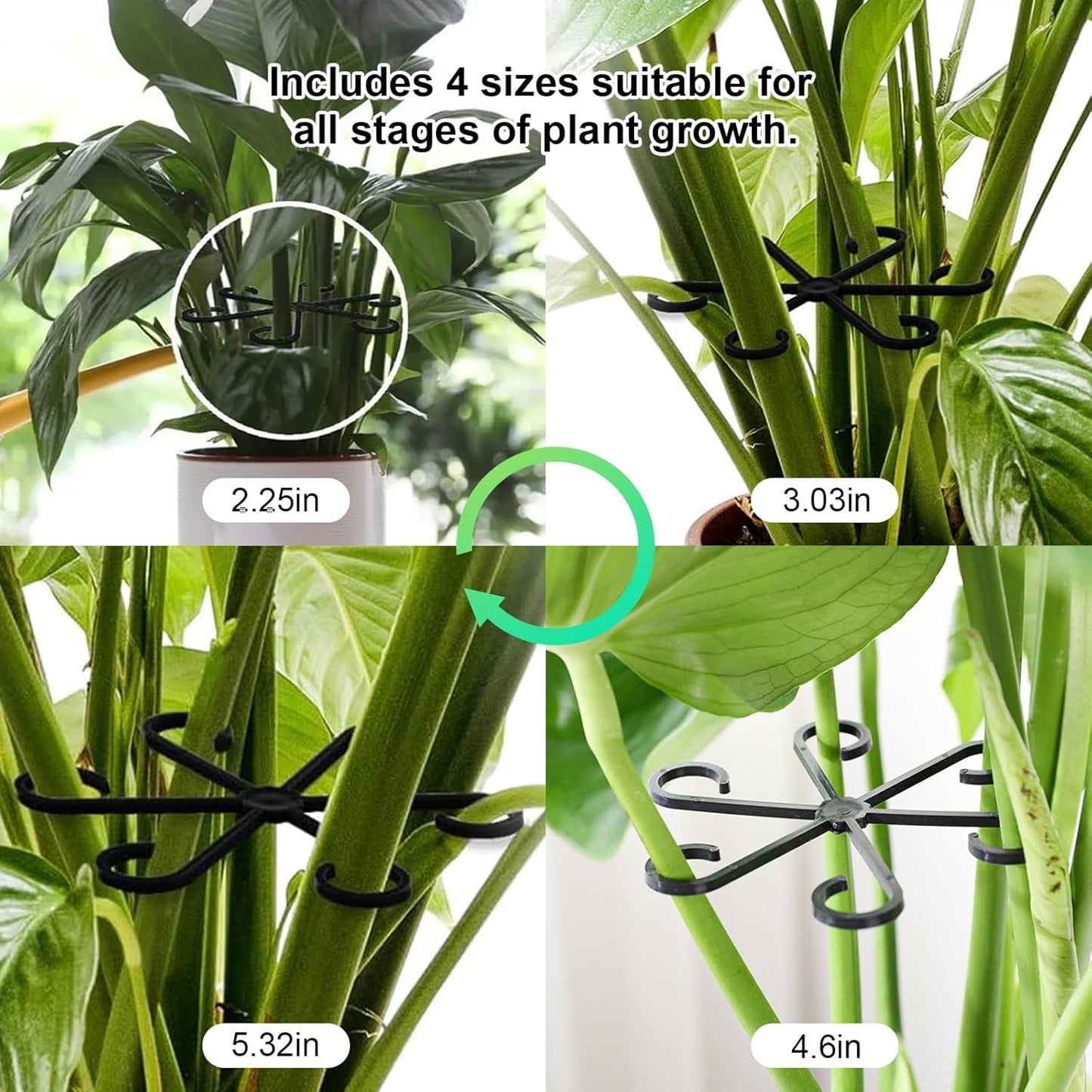 12pcs Climbing Houseplant Stem Supports,Plant stem Support Indoor Outdoor Use,Stem Hook Growth Accessories for Plant Garden, Promotes Upright Growth and Airflow(Black)