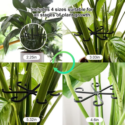 12pcs Climbing Houseplant Stem Supports,Plant stem Support Indoor Outdoor Use,Stem Hook Growth Accessories for Plant Garden, Promotes Upright Growth and Airflow(Black)