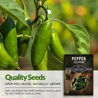 Jalapeño Pepper Seeds for Planting | Hot Heirloom Non-GMO Peppers for Pickling & Salsas – Survival Garden Seeds (3 Packs)