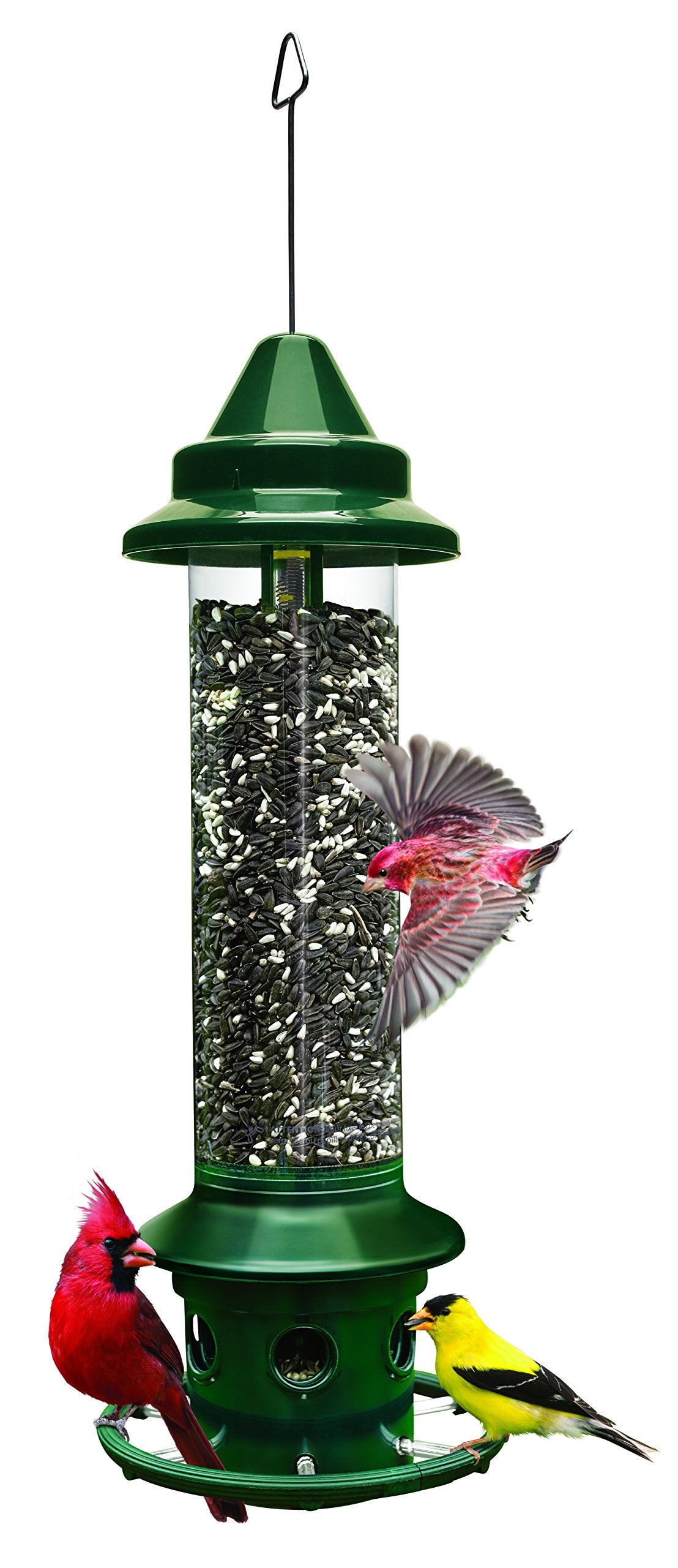 Squirrel Buster Plus Squirrel-proof Bird Feeder w/Cardinal Ring and 6 Feeding Ports, 5.1-pound Seed