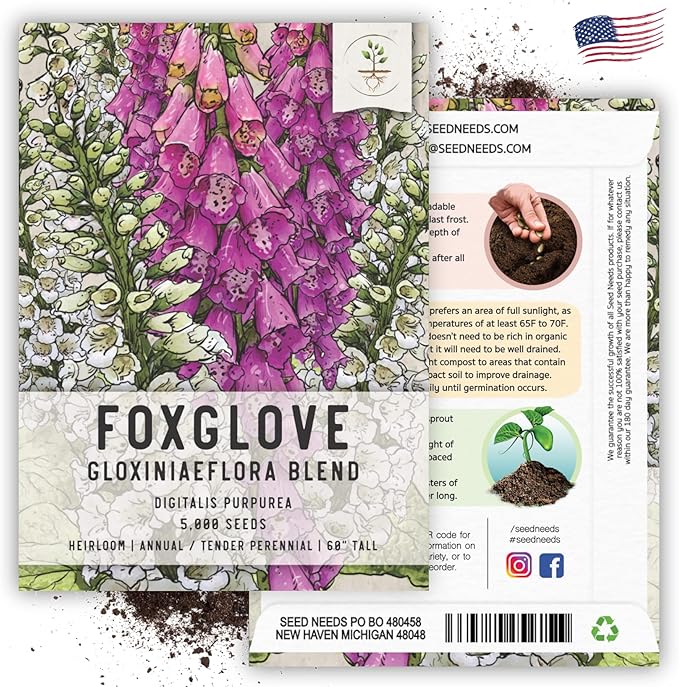 Seed Needs, Mixed Gloxiniaeflora Foxglove Seeds for Planting - Heirloom & Open Pollinated Biennial Flowers - Perfect for Butterfly Gardens & Insectaries (5 Packs)