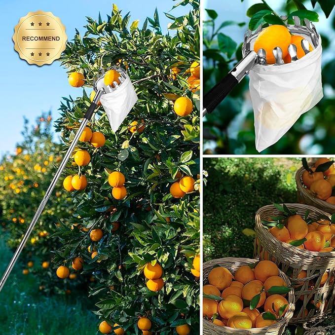 Fruit Picker Pole Tool with Basket Telescoping, 3.2FT-13.8FT Adjustable Pole, Apple Picker Tool with Soft Bag, Long Handle Picker for Avocado, Lemon, Orange, Mango, Limes, Persimmons, Plums