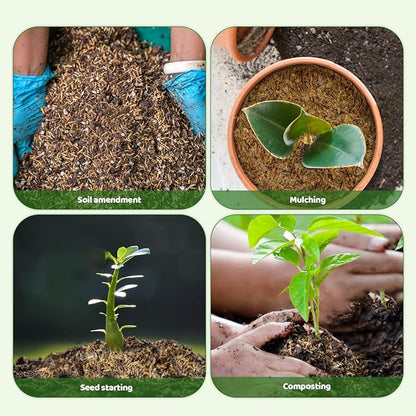 Rice Hulls for Gardening 4qt - Promote Root Development, Water Efficiency, and Disease Resistance