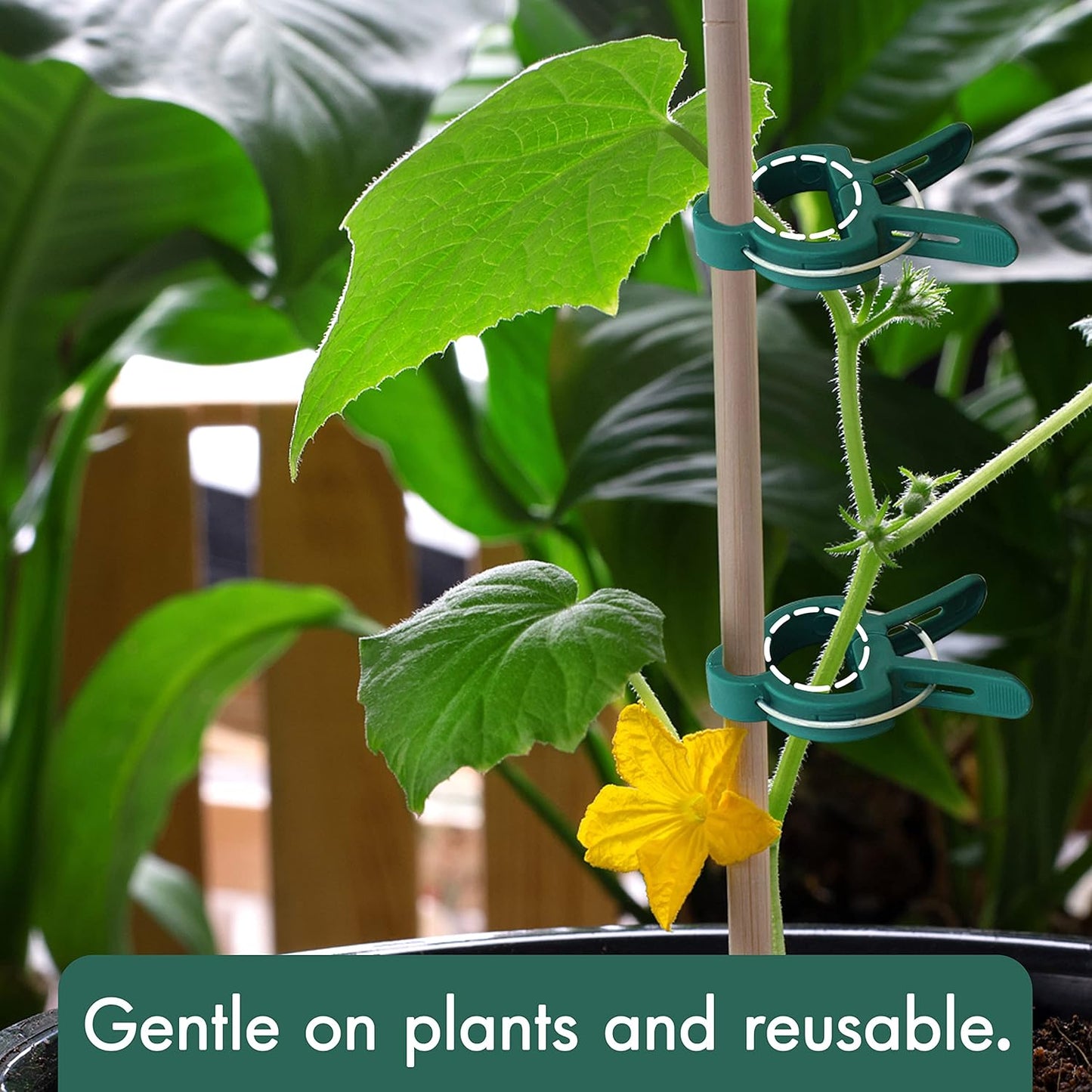 Gardzen 48 Pcs Garden Plant Clips, Plant Support Clips for Securing Stems, Flowers or Climbing Vines to Tomato Cages, Trellis