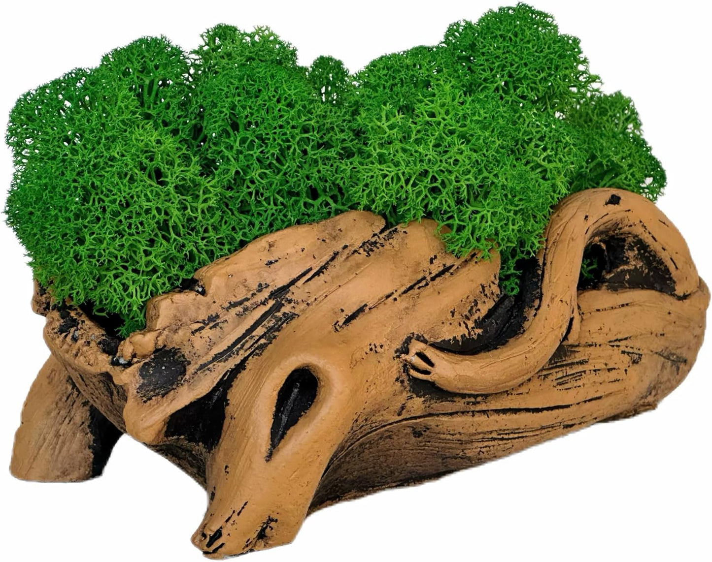 Moss Centerpiece 6in, Handmade Artificial Bonsai with Real Moss, No Maintenance