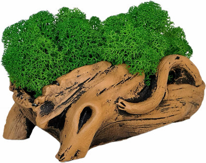 Moss Centerpiece 6in, Handmade Artificial Bonsai with Real Moss, No Maintenance