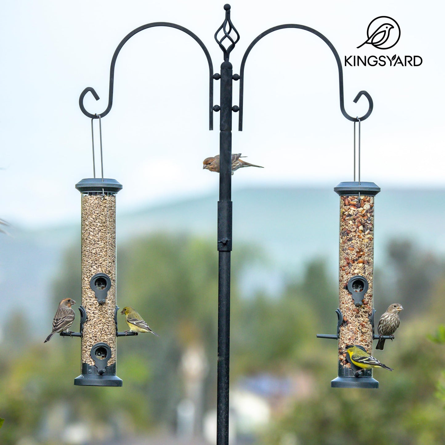 Kingsyard 2 Pack Tube Feeders with 6 Feeding Ports for Outdoors Hanging, Premium Hard Plastic