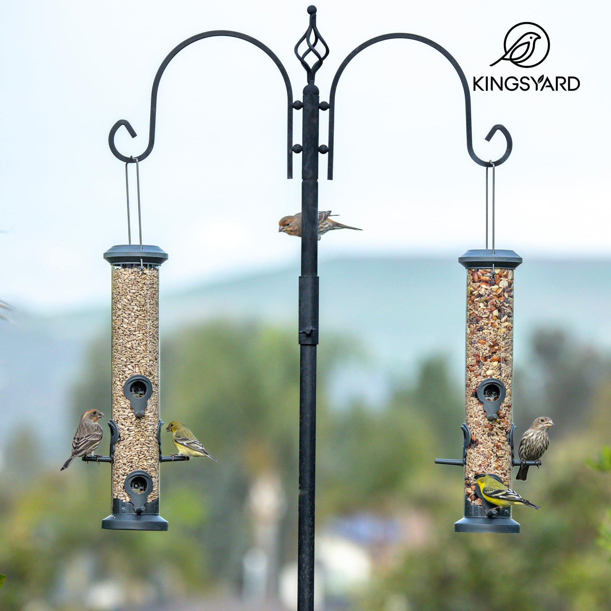 Kingsyard 2 Pack Tube Feeders with 6 Feeding Ports for Outdoors Hanging, Premium Hard Plastic