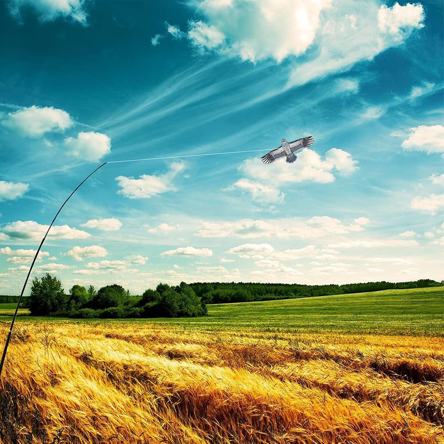 eyijklzo Bird Scarer Flying Kite Crops Farm Flying Bird Hawk Flying Kite