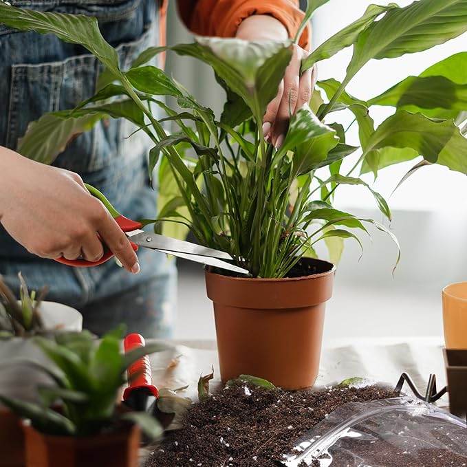 Organic Peace Lily Soil Mix 1qt, Indoor Plants Potting Mix for Planting, Growing, or Repotting Peace Lily Plants, Grow Healthy houseplants Indoors