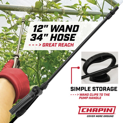 Chapin 1-Gallon Pump Sprayer, Easy Use for Home & Garden, 2pk