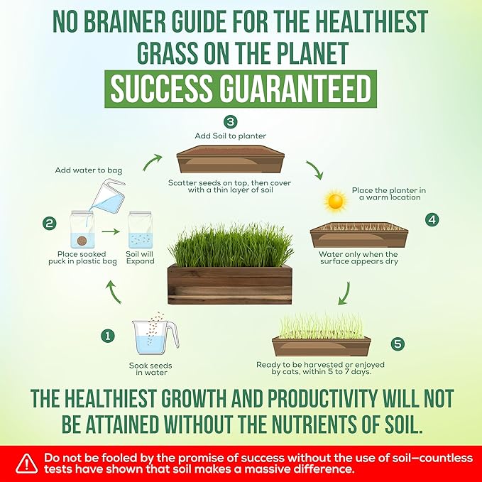 Ornamental Indoor Planter with Pet/Cat Grass Growing kit, Handcrafted in The USA from Red Cedar (AgedWash)