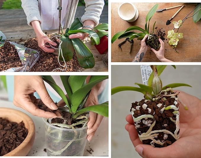 Orchid Bark for Plants, Organic Pine Bark for Proper Root Development for Phalaenopsis, Cattleyas, Dendrobiums, Oncidiums, Paphiopedilums and More(4qt, Small(4-8mm))