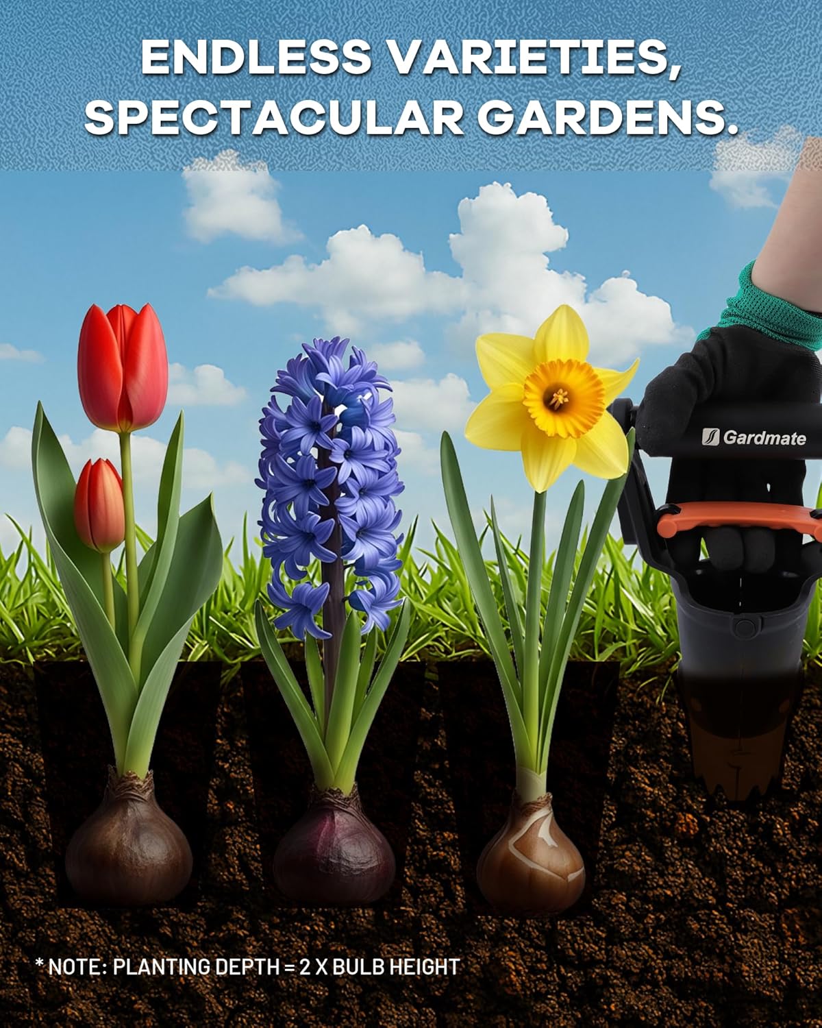 Bulb Planter Tool - One-Touch Automatic Bulb Planter for Bulbs, Seeds & Seedlings - 5" Depth Stainless Steel Garden Bulbs Dibber with Ergonomic Handle - No Bend Planting, Includes Gloves