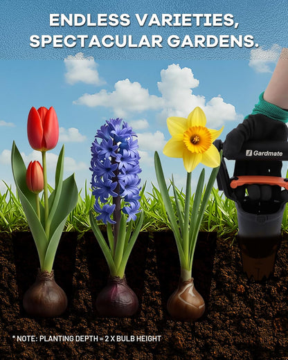 Bulb Planter Tool - One-Touch Automatic Bulb Planter for Bulbs, Seeds & Seedlings - 5" Depth Stainless Steel Garden Bulbs Dibber with Ergonomic Handle - No Bend Planting, Includes Gloves