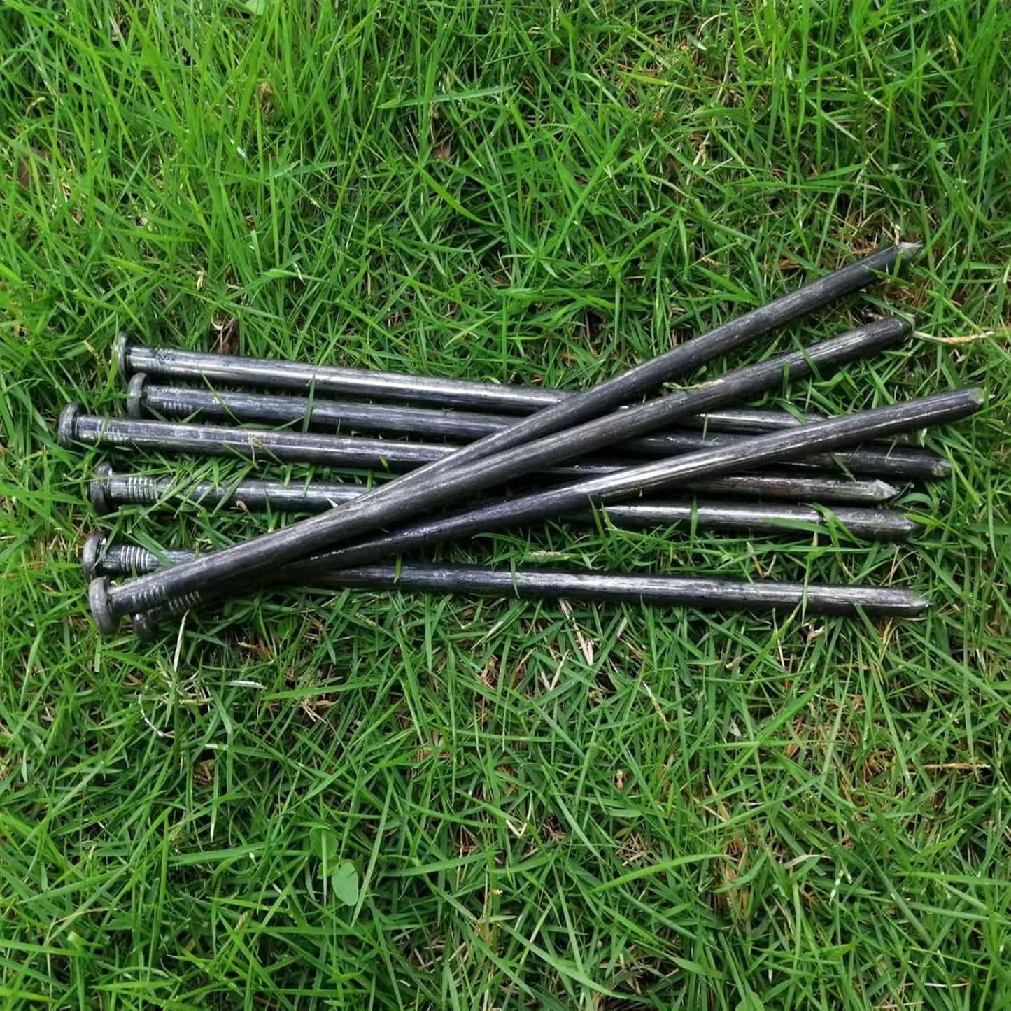 Metal Landscape Stakes,10Inch 100Pcs Landscape Edging Anchoring Spikes for Tent Spikes,Paver Edging,Artificial Turf Stakes,Tent and More (100, Black)