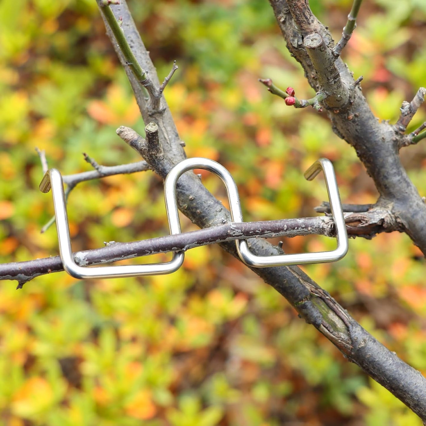 24PCS Fruit Tree Branch Puller Tying Machine Farm Tools New Plum Tree Open Angle Pull Branch stereotyped Branch Bending Tool Fruit Branch