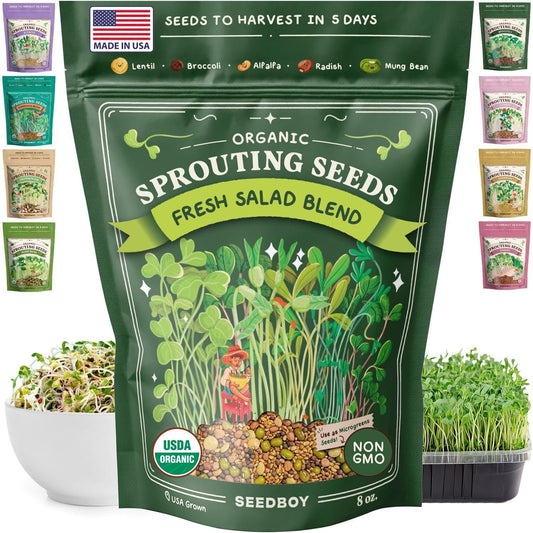 Seedboy Organic Non-GMO Sprouting Seeds, Fresh Salad Blend – USA Grown Microgreens Mix with Alfalfa, Broccoli, Radish, Mung Bean & Lentil – 8 oz Bag Makes 8 Quarts / 24 Servings (Salad Blend)