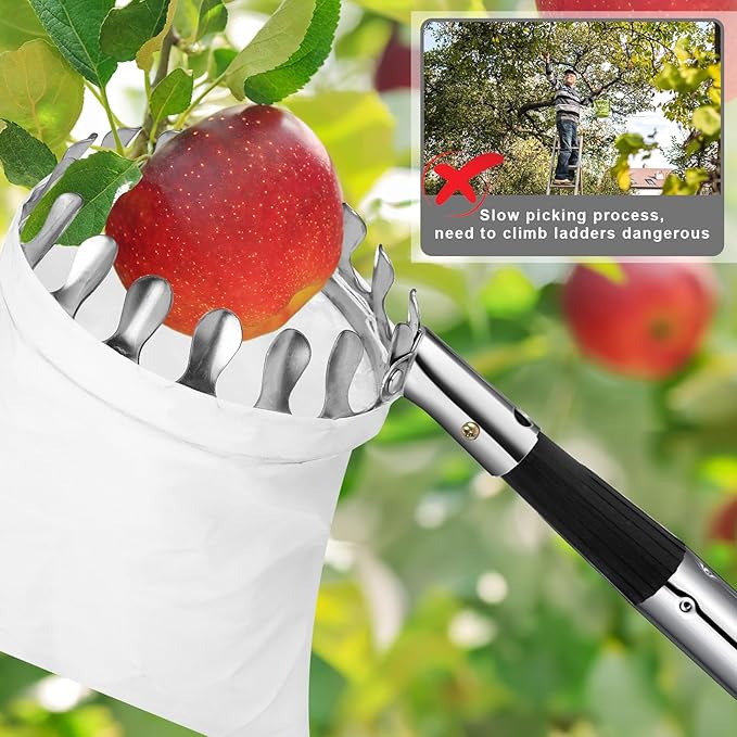 Fruit Picker Pole with Basket Telescoping, 11.5FT Adjustable Fruits Picker Tool with Lightweight Stainless Steel Pole and Big Non Woven Basket Fruits Catcher Tree Picker for Apples Mango Lemon Orange