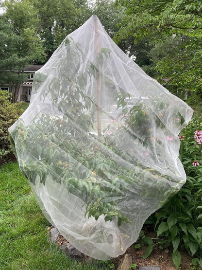 2 Pack 8.2x6.6 Ft Bird Netting for Garden with Zipper, Fruit Tree Netting Plant Cover for Blueberry Strawberry Bushes, Garden Netting Tomato Plant Protector for Vegetables Tree