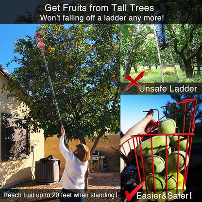 DonSail Fruit Picker Pole with Basket Telescoping, Citrus Orange Picker Pole with Basket 35-150 inch Long Handle, Mango Avocado Fig Acorn Pear Pomelo Chery Lemon Picker for Tree