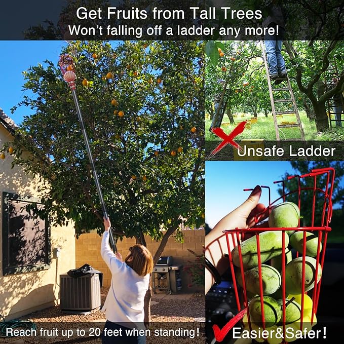 Fruit Picker Pole Tool with Basket Telescoping, Adjustable Apple Picker Pole 35-170 inch Long Handle, Mango Orange Avocado Fig Acorn Lemon Pear Pomelo Chery Picker for Tree