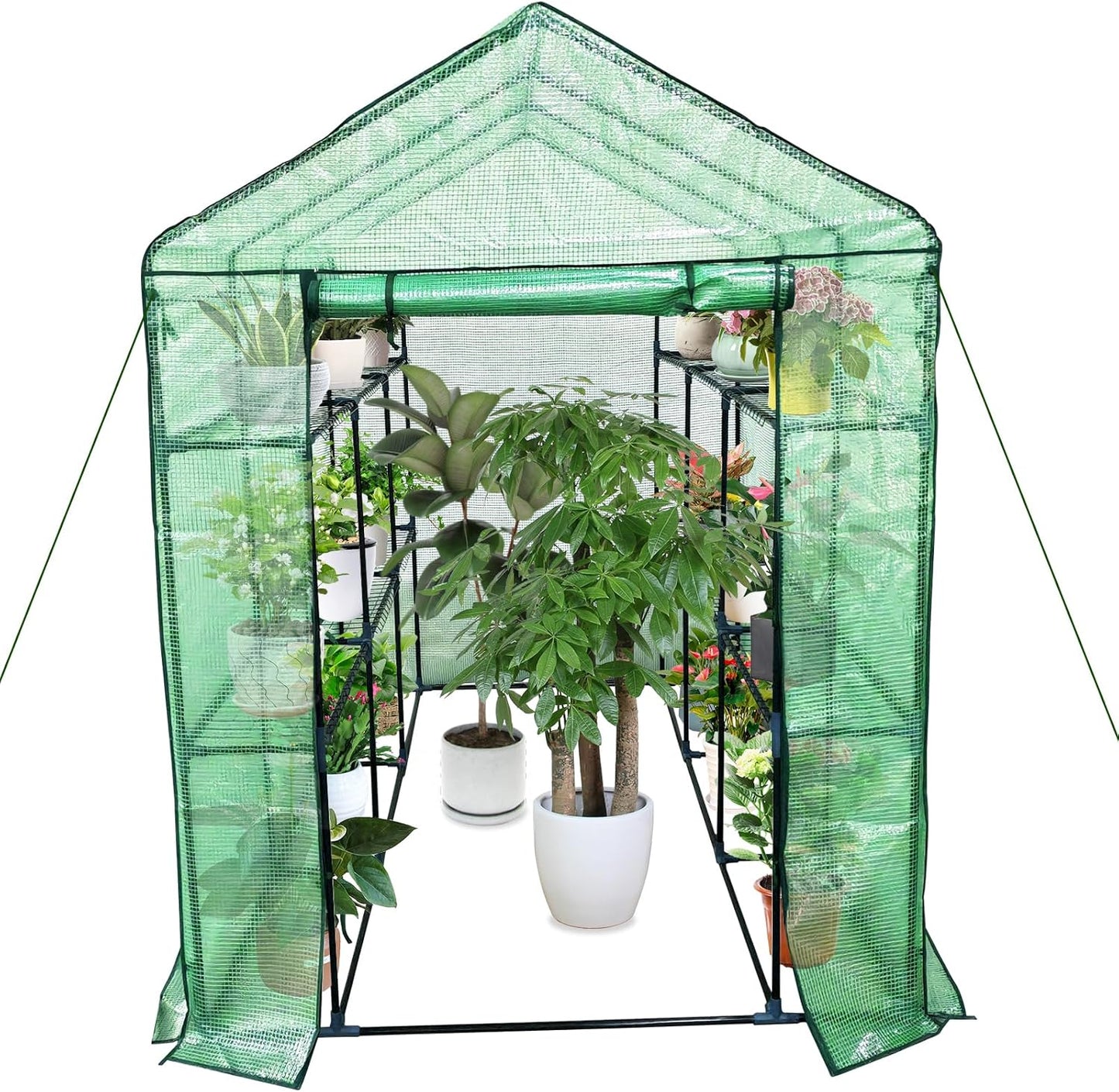 Greenhouse for Outdoors,Walk in 3-Tier 9 Shelves Green House w/ Roll-Up Zippered Door Anchors and Ropes,Waterproof & UV Protected Plant Garden Hot House for Garden Patio Backyard,57 x 85 x 76''