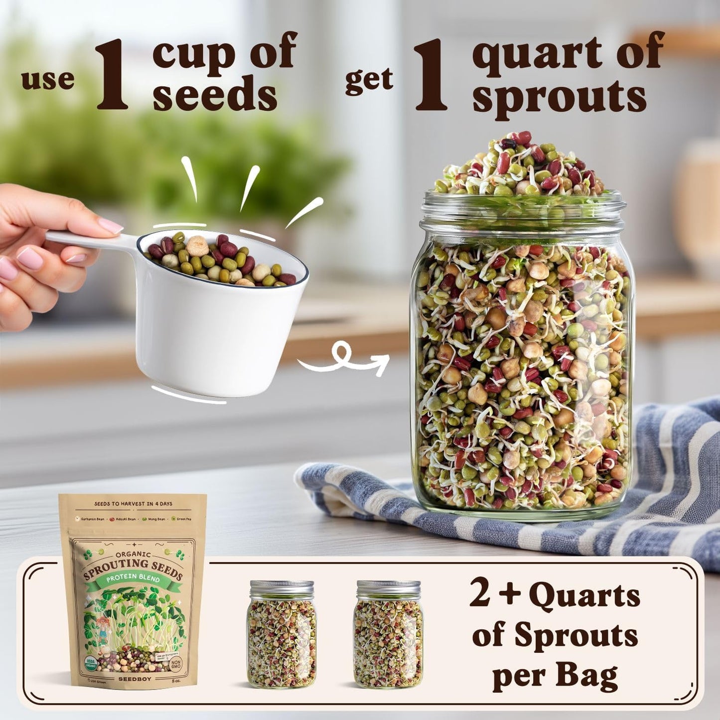 Seedboy Organic Non-GMO Sprouting Seeds, Protein Blend – USA Grown Microgreens Mix with Garbanzo, Mung Bean, Adzuki Beans, Green Pea - 8 oz Bag Makes 2 Quarts / 12 Servings (Protein Blend)