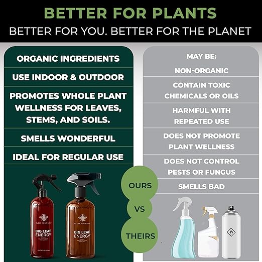 Big Leaf Energy : RTU Wellness Spray for Indoor Plants : Organic Neem Oil + Essential Oils (16OZ, Glass Bottle)