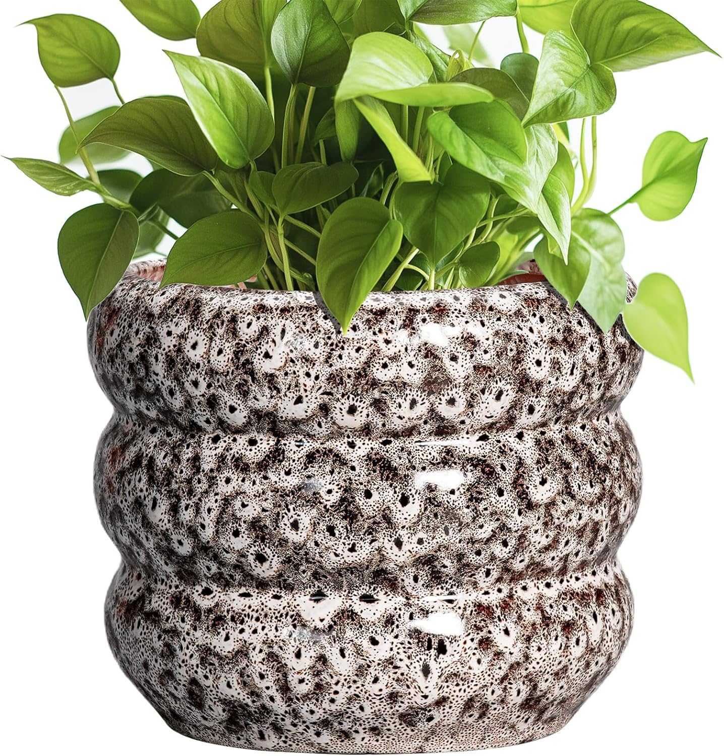 SQOWL Ceramic Plant Pots - 8 Inch Ceramic Planter for Indoor Plants Outdoor, Round Planter with Drainage Hole, Round Decorative Flower Pots, Living Room Office Garden Decor, Gardening Gifts, White