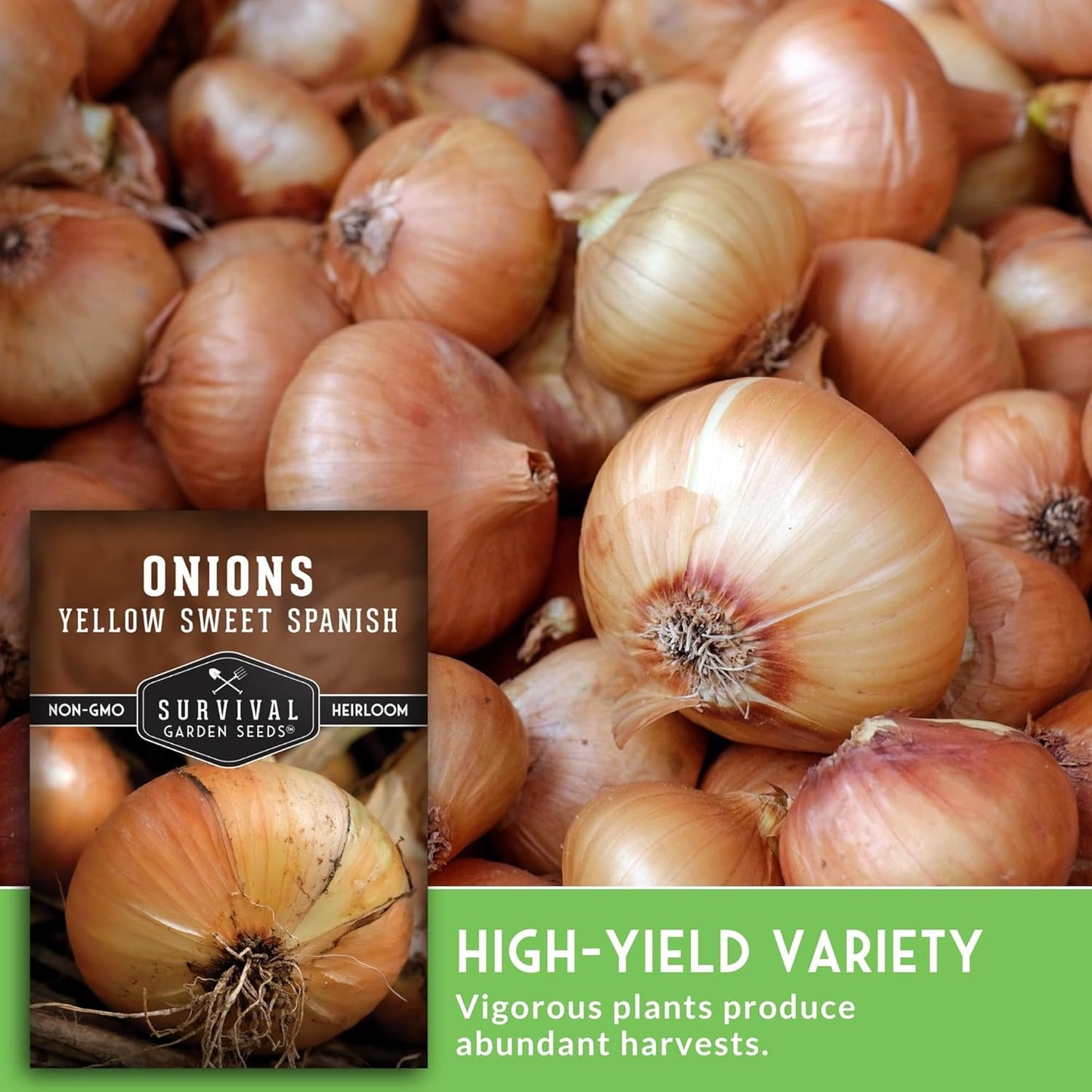 Yellow Sweet Spanish Onion Seed for Planting - 5 Packets with Instructions to Plant and Grow Long Day Onions in Your Home Vegetable Garden - Non-GMO Heirloom Variety - Survival Garden Seeds