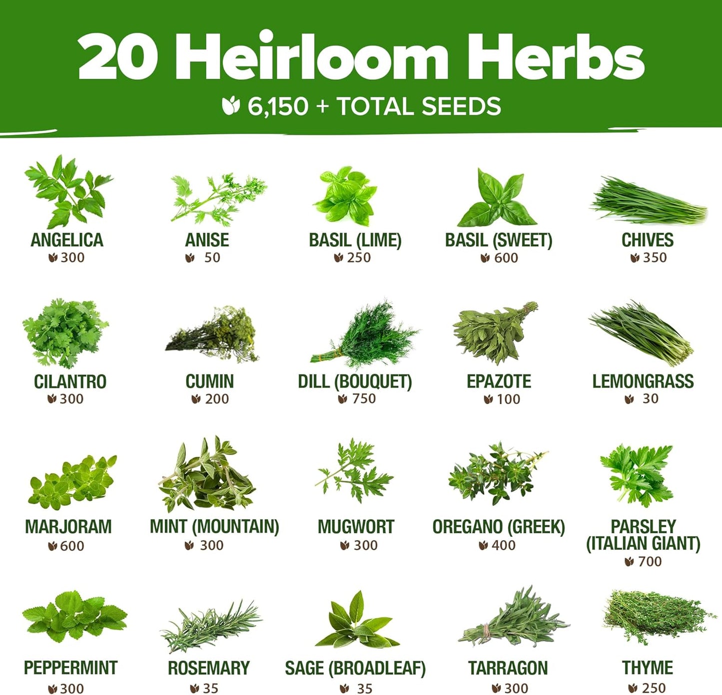 HOME GROWN Premium HERB Seeds Variety Pack - 20 Heirloom Herb Seeds for Planting - 6,000+ Non-GMO Seeds with Plant Markers - Indoor Outdoor Hydroponic Herb Garden - Culinary & Medicinal Herbs