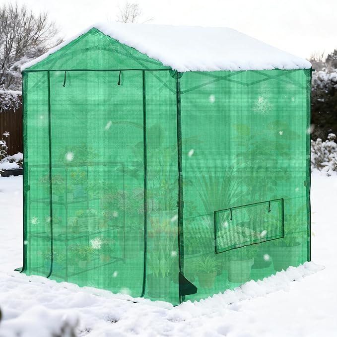 COOS BAY 6x6 FT Portable Walk-in Greenhouse, Pop up Outdoor Green House with Power Access Openings, Zippered Doors & Windows, Durable PE Cover, Green