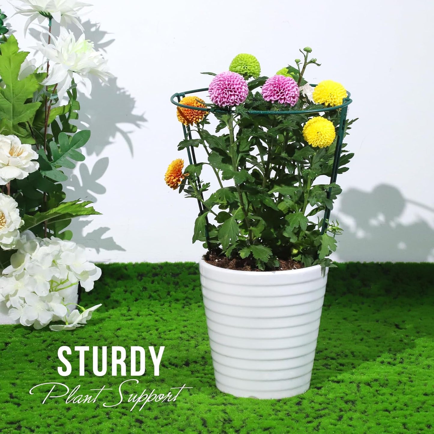 LEOBRO Plant Support, 8PCS Peony Cages and Supports, Plant Stakes for Indoor Plants, Outdoor Plants, Plant Holders, Tomato Monstera Hydrangea Support Cage, 10" W x 15.8" H