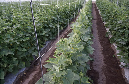 10-Feet by 4920-Feet Professional Grade Vegetable Support Trellis Netting Roll/Scrog Net Roll, (119" x 4920' / 3m x 1500m) (mesh 5.9"x6.7" / 15cm x 17cm)